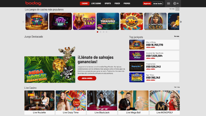 Bodog Casino
